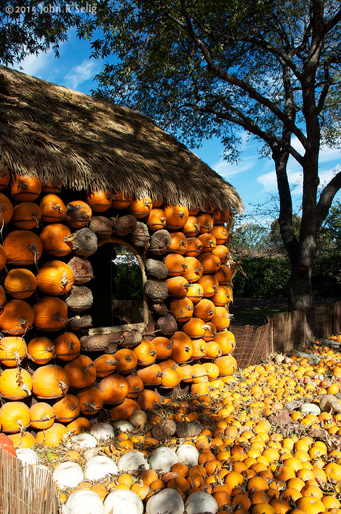 Gourds & Pumpkins at the Dallas Arboretum 2012