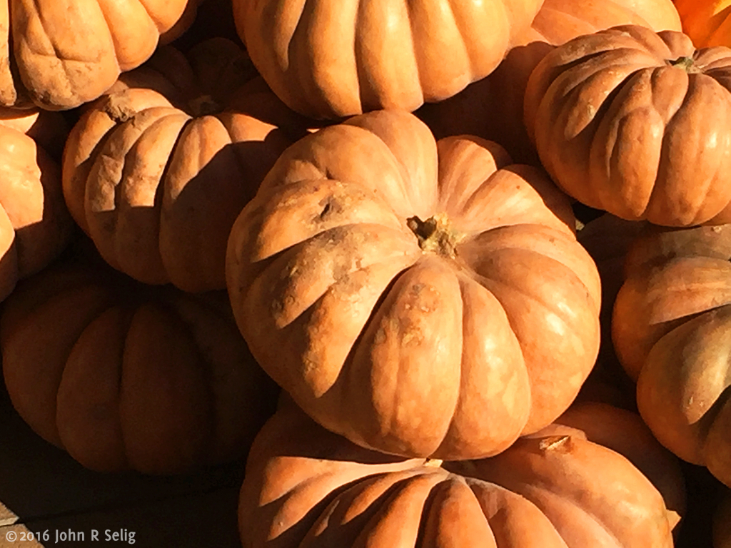 Autumn Outside Whole Foods 2016