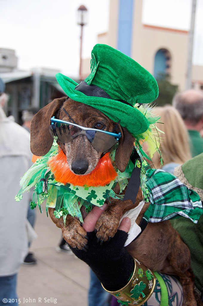 Texas Irish Festival 2014